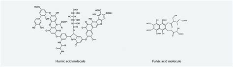 Humic Vs Fulvic Acids — Earthgreen Products