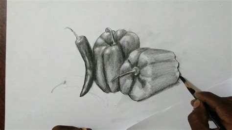 Pencil Shading of Vegetables