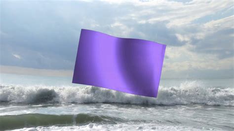 Purple Beach Flags What Do They Mean