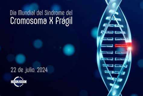 D A Mundial Del S Ndrome Del Cromosoma X Fr Gil Anafarmex