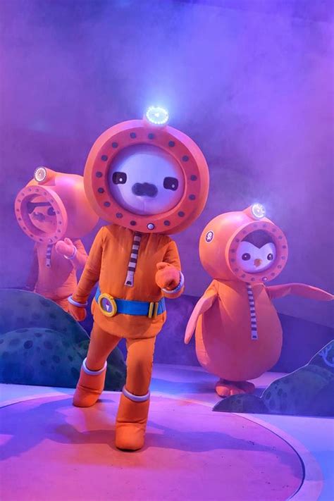 Octonauts LIVE! We are the octonauts | Mummy Memories