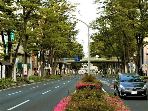 2020年 前橋駅前けやき並木通りへ行く前に！見どころをチェック トリップアドバイザー