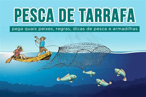 Pesca De Tarrafa Pega Quais Peixes Regras Dicas De Pesca E