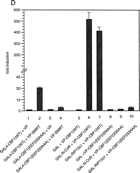 A Histone Deacetylase Corepressor Complex Regulates The Notch Signal