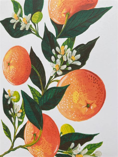 Orange Botanical Illustration 8x10 Print Etsy