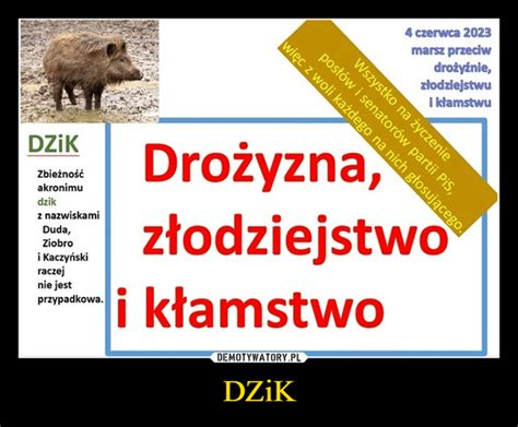 DZiK Demotywatory Pl