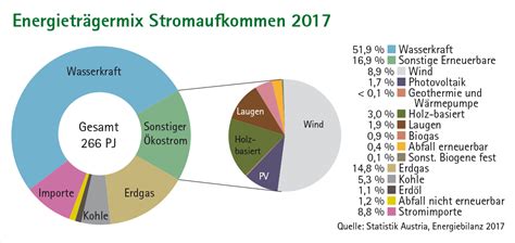 Strom aus Biomasse Österreichischer Biomasseverband