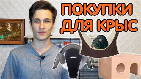 Покупки для крыс и перестановка в клетке. Домик, спутник и гамак для ...