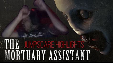 Mortuary Assistant Jumpscare Highlights Youtube