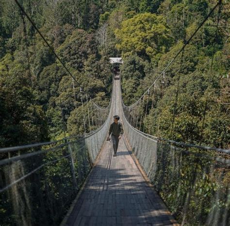 Situgunung Suspension Bridge Sukabumi Daya Tarik Dan Harga Tiket Masuk