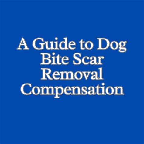 Dog Bite Scar Removal | PA Dog Bite Lawyer Jeffrey H. Penneys