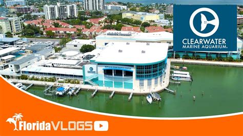 Clearwater Marine Aquarium Updates Florida Inside Vlog