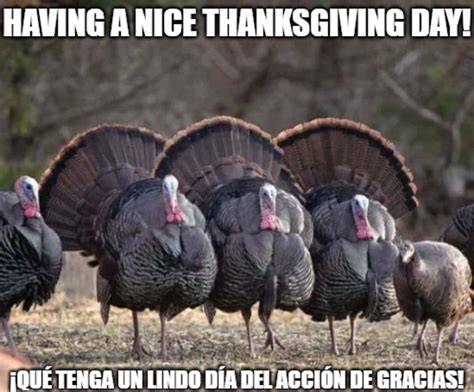 Family Turkey Meme Happy Thanksgiving Day by LoudCasaFanRico on DeviantArt