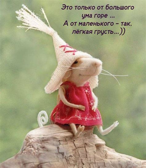 Только от большого ума горе (открытка 507): Бесплатные картинки ...