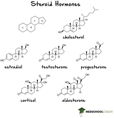 Types Of Hormones Mcat Biology Medschoolcoach