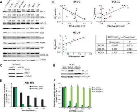 Selective Bcl 2 Inhibition By Abt 199 Causes On Target Cell Death In Acute Myeloid Leukemia