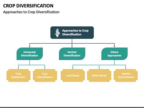 Crop Diversification PowerPoint and Google Slides Template - PPT Slides