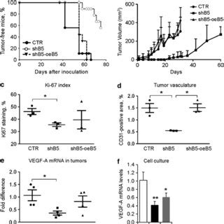 Integrin In Tumor Growth In The Orthotopic Model A Mda Mb