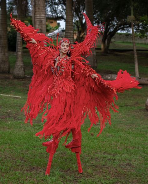 Standouts Miss Universe National Costume Show Pep Ph