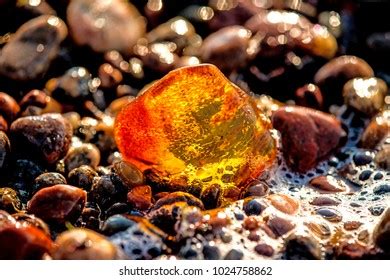 3,067 Amber beach baltic Images, Stock Photos & Vectors | Shutterstock