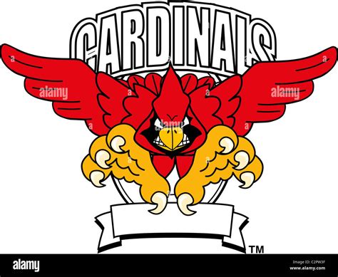 Cardinal Mascot Logo