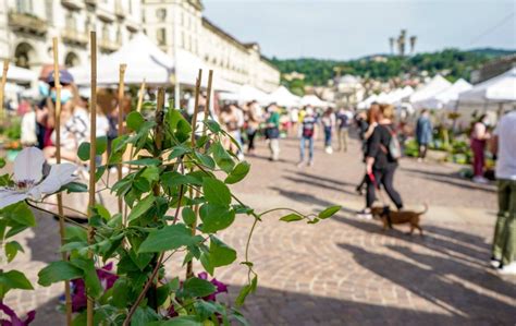 Mercatini A Torino Date Biglietti E Calendario 2023 2024