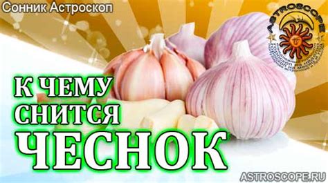 Сонник чеснок: к чему снится чеснок во сне по соннику Астроскоп