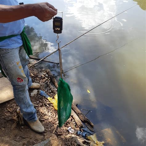 Pol Cia Autua Dupla Por Pesca Em Local Proibido No Rio Piracicaba E