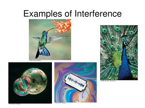 PPT - Light Wave Interference PowerPoint Presentation, free download ...