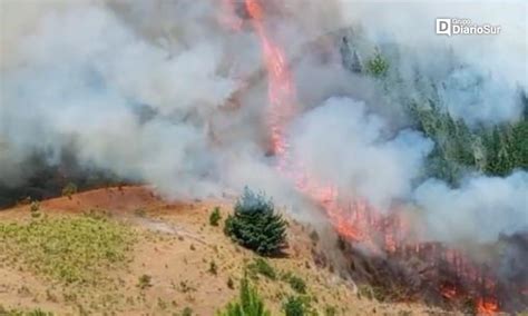 San Pablo En Alerta Roja Por Incendio Forestal Diario De Osorno