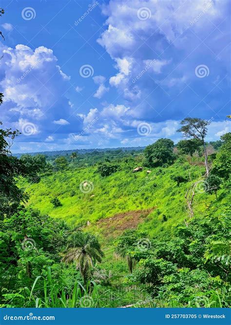 Fotografia Vertical De Uma Bela Paisagem Verde Em Ghana Imagem De Stock