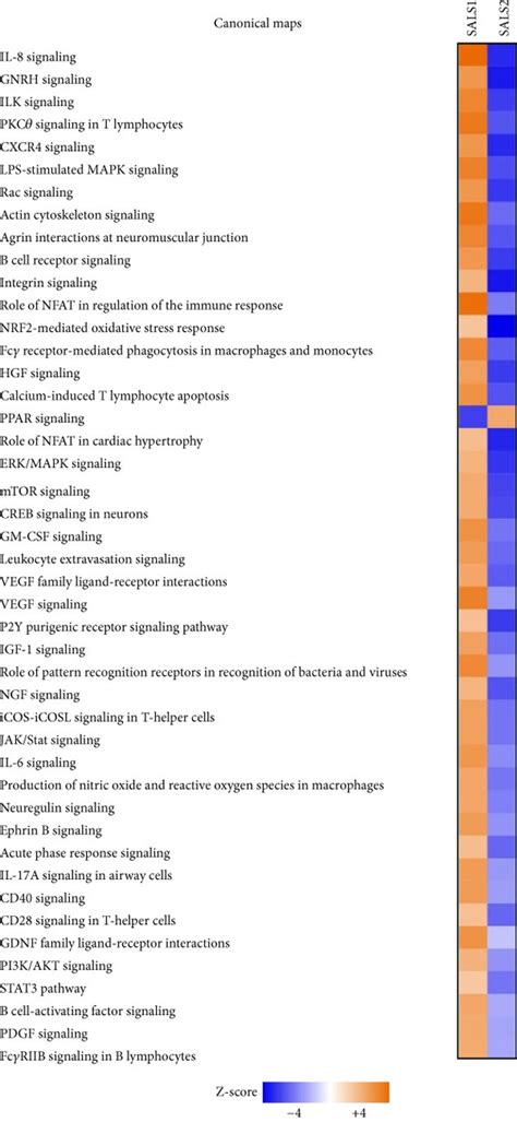 Functional Enrichment Analysis Of Inflammatory DEGs In SALS Patients