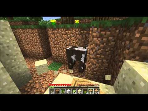 Minecraft Single Player Survival Episode 1 YouTube