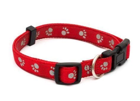 Overview of Dog Collars Used and Therapy Dogs Training Equipment