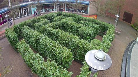 Small Hedge Maze