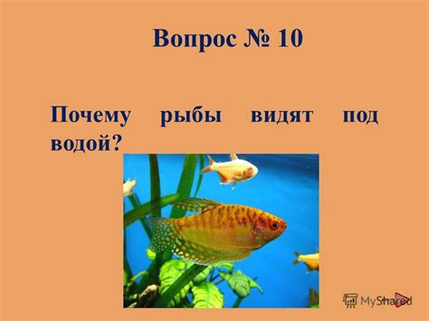 Презентация на тему: "Интегрированное внеклассное мероприятие по ...
