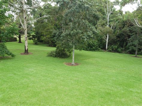 Lawns in the landscape - Amber Leaf Landscaping | Sunshine Coast ...