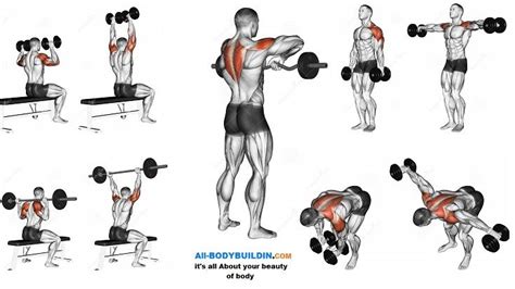 Best Shoulder Workout Shoulder Workout Best Shoulder Workout Gym