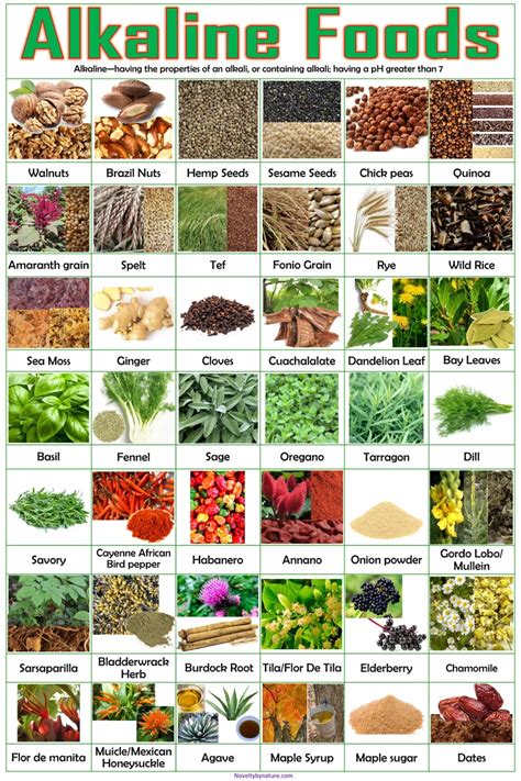 Alkaline Foods Poster Healthy Foods Poster Alkaline Eating List Dr