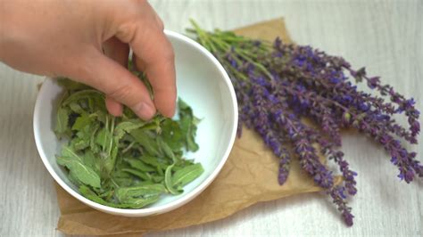 5 Ways to Dry Sage - wikiHow