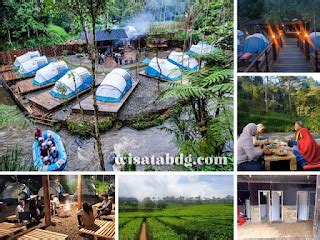 Baru Nih Namu Hejo Riverside Camping Asyik Buat Healing Di Hutan Pinus