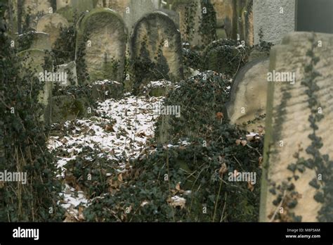 Historic Jewish Cemetery In Krakow Poland Stock Photo Alamy