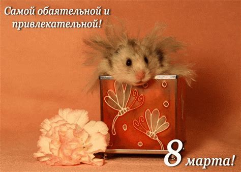 Привлекательный хомячОк)