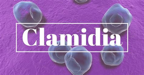 Clamidia Sintomas Complicaciones Y Tratamiento Images