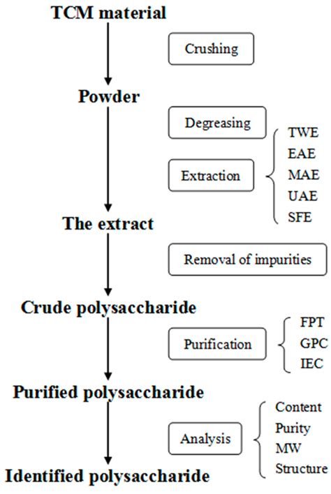 Molecules Free Full Text Polysaccharides From Traditional Chinese Medicines Extraction