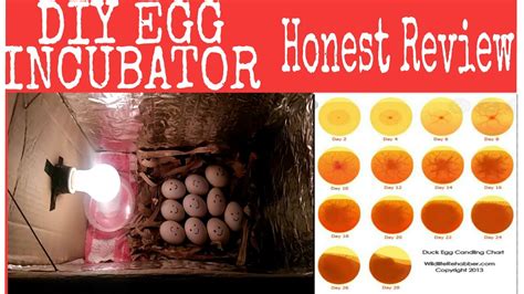 Homemade Egg Incubator Instructions