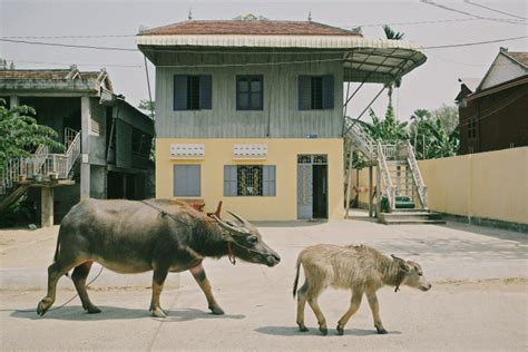 Collective Hub The Australian Start Up Taking On The Sex Trafficking Industry One Pair Of Jeans