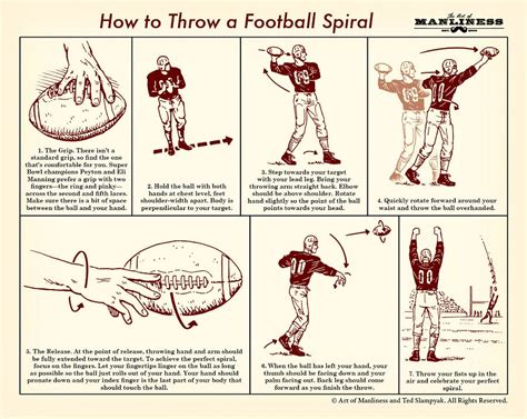 Phases Of Throwing A Football