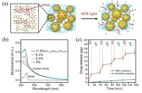 Nir Triggered Drug Release From Pda Peg Hydrogel A Schematic