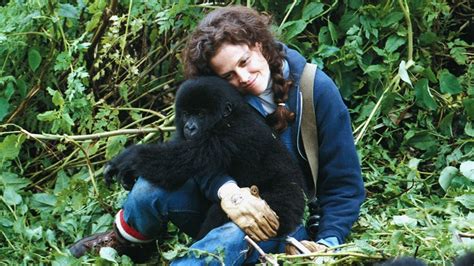 Biografia di Dian Fossey
